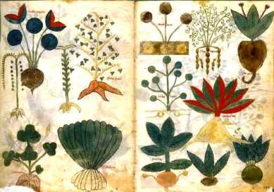 d92d12bddd1a413f794acf6e7c7a473a