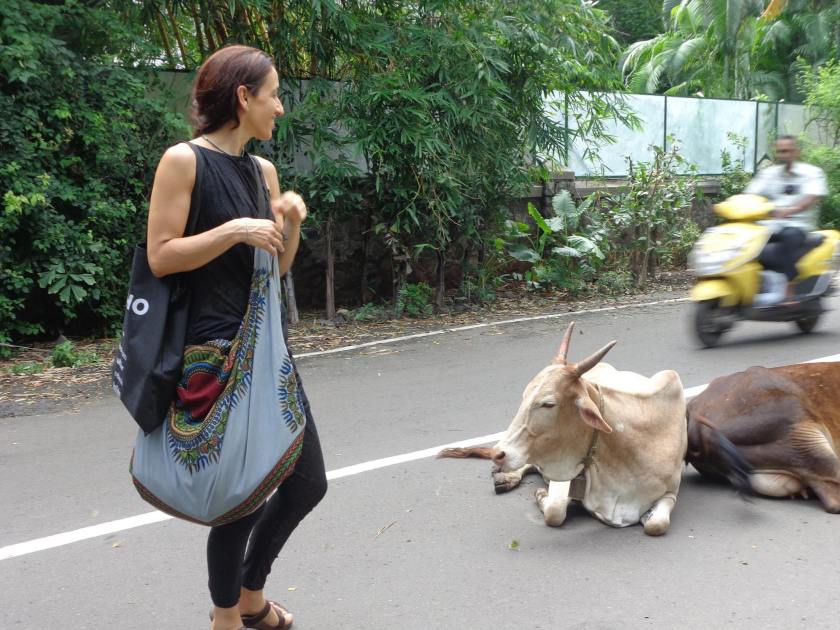 trying iyengar yoga with haris&nbsp;lyroni