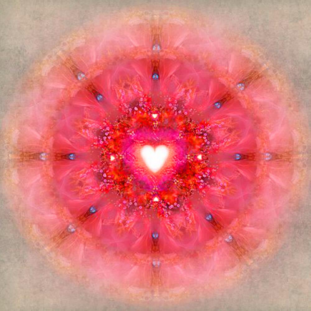 rene mey’s emotional&nbsp;medicine