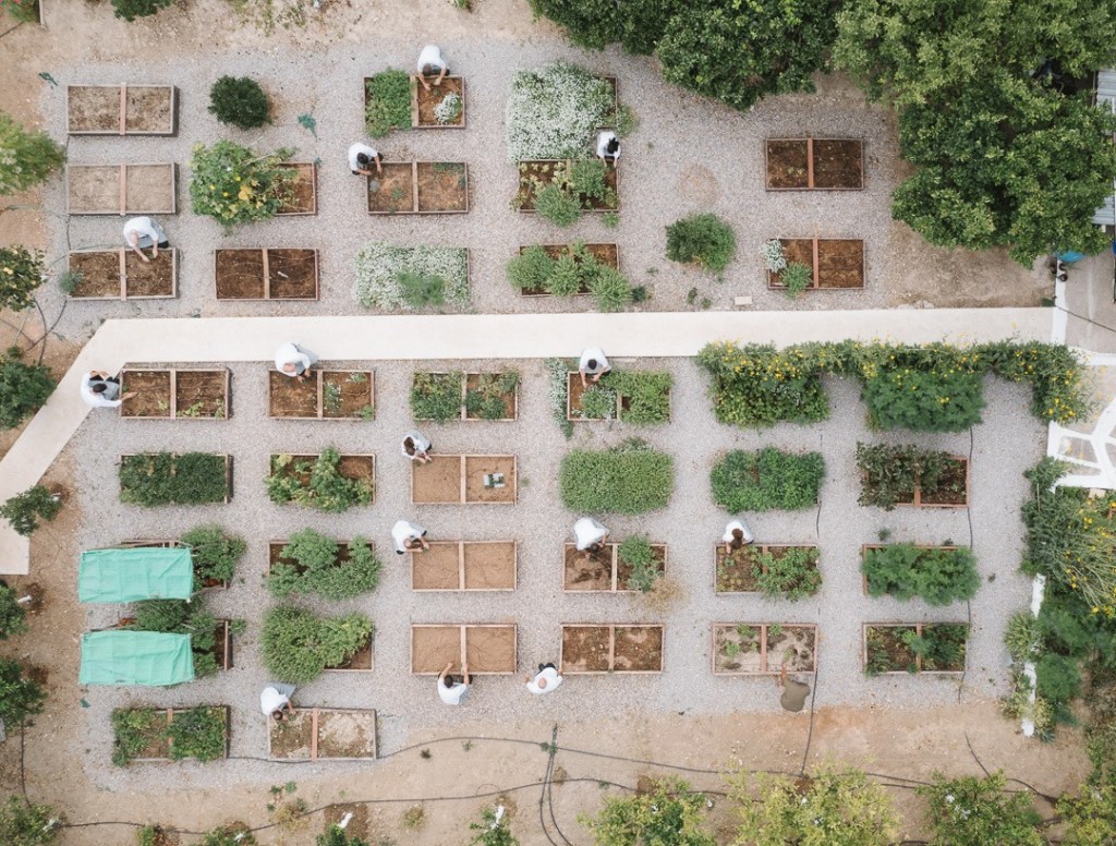 Food with Conscience: Athens’ Top Sustainable&nbsp;Restaurants